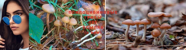 марихуана Абаза