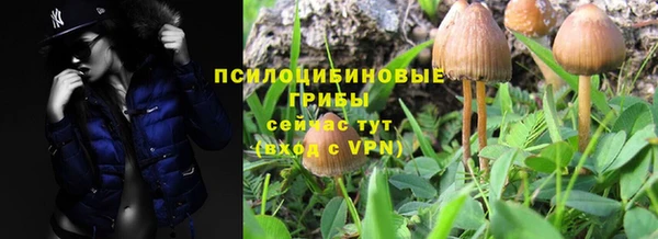 марихуана Абаза