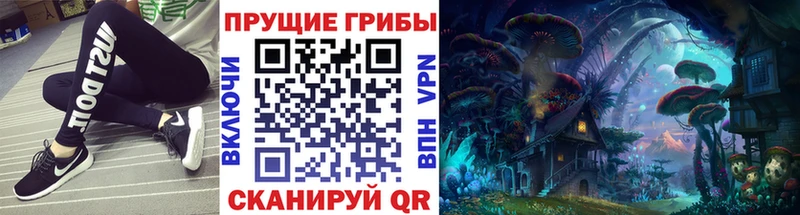 Псилоцибиновые грибы прущие грибы  Ижевск 